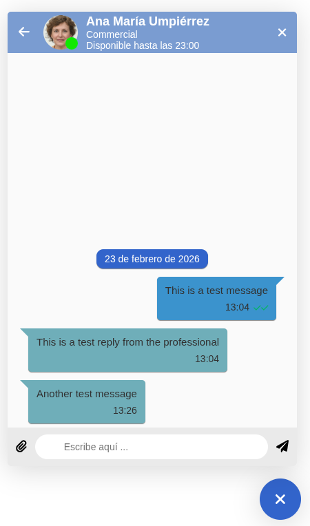Chat screen theme customization example