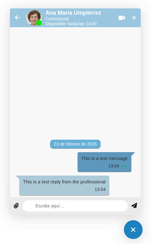 Chat screen theme customization example